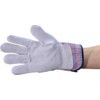 Mechanical Hazard Gloves, Blue/Grey, Cotton Liner, Leather Coating, EN388: 2016, 3, 1, 4, 3, X, Size 8 thumbnail-1